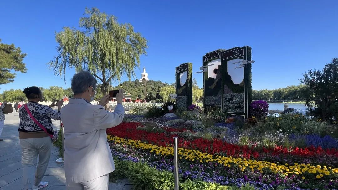 北海公園花壇以屏風(fēng)造型展現(xiàn)祖國(guó)青山綠水。