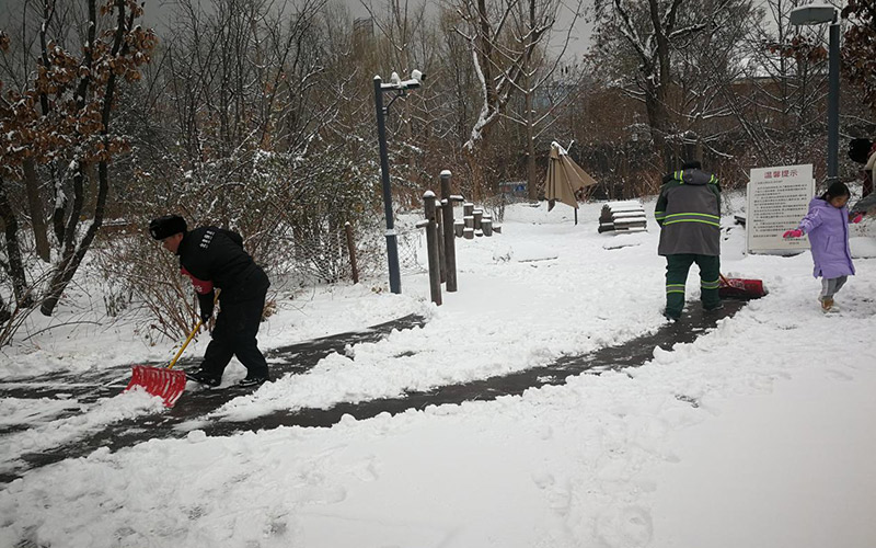 應(yīng)對(duì)強(qiáng)降雪天氣 北京西城“綠色衛(wèi)士”逆風(fēng)雪而行