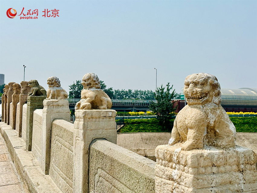 永通橋（八里橋）橋面兩側(cè)欄桿上的石獅子。人民網(wǎng) 李世奇攝