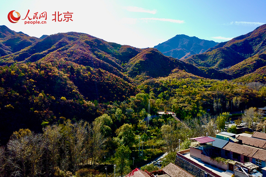 近日，門頭溝靈山、百花山一帶滿山的紅葉層林盡染，構(gòu)成了一幅幅絢麗的畫卷。人民網(wǎng) 李世奇攝